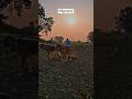 #khedut #ખેતી #trending #farming #viral #viralvideo #vtshorts