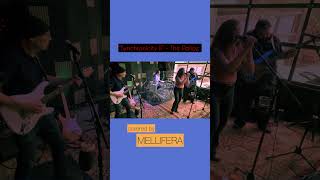 “Synchronicity II” by  #thepolice covered by #mellifera #livemusic #music