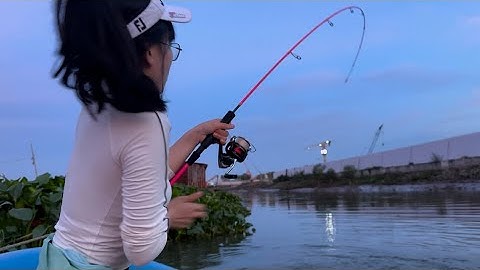 Câu Đêm Dính Cá Chép Khủng Tại Sông Đồng Nai | Câu Cá Tự Nhiên | Mây Fishing
