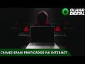 Polícia de SP investiga transmissões de maus-tratos a animais na internet
