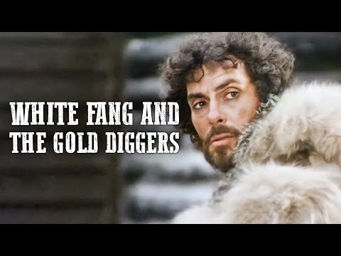 WHITE FANG AND THE GOLD DIGGERS