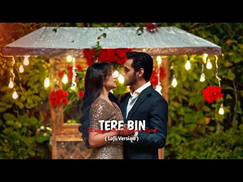 TERE BIN SONG Kya Hoti Hai Bewafai Song Wahaj Ali And Yumna Zaidi Pakistani Song Ost Song TERE BIN SONG Kya Hoti Hai Bewafai Song Wahaj Ali And Yumna Zaidi Pakistani Song Ost Song