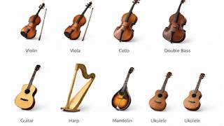 Every Type of String Instrument Explained In 3 minutes