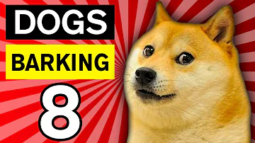 8 DOGS BARKING Dog Whistle | Sounds and Music for Dogs