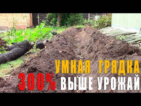 Видео: Что такое червячные грядки - Как построить червячную грядку в саду