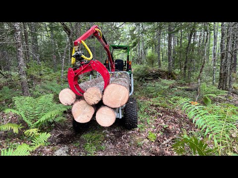 More Micro Forestry