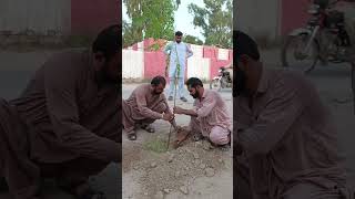 Unstoppable Spirit: Malik Farooq Planting Trees in Extreme Heat | Climate Root Network