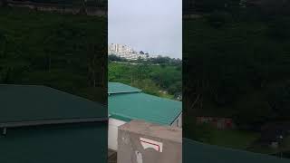 Ngeke Ihlahla Ulihlome Emsamo Ekubeni Lingakahlanjululwa Ngeke