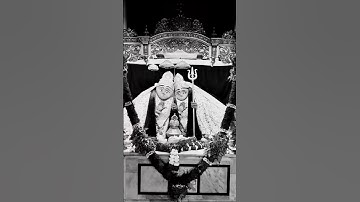 10 9 2024 Chamunda Maa 4k Full Screen Status |Chamunda Maa Status2021 ||Chamunda Maa Whatsapp Status