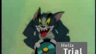 3GP AAC 48kbps H263 208kbps 25fps QCIF