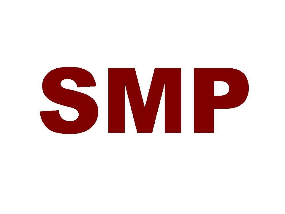 Msn smp pmn mnp. Smp. Smp Automotive.