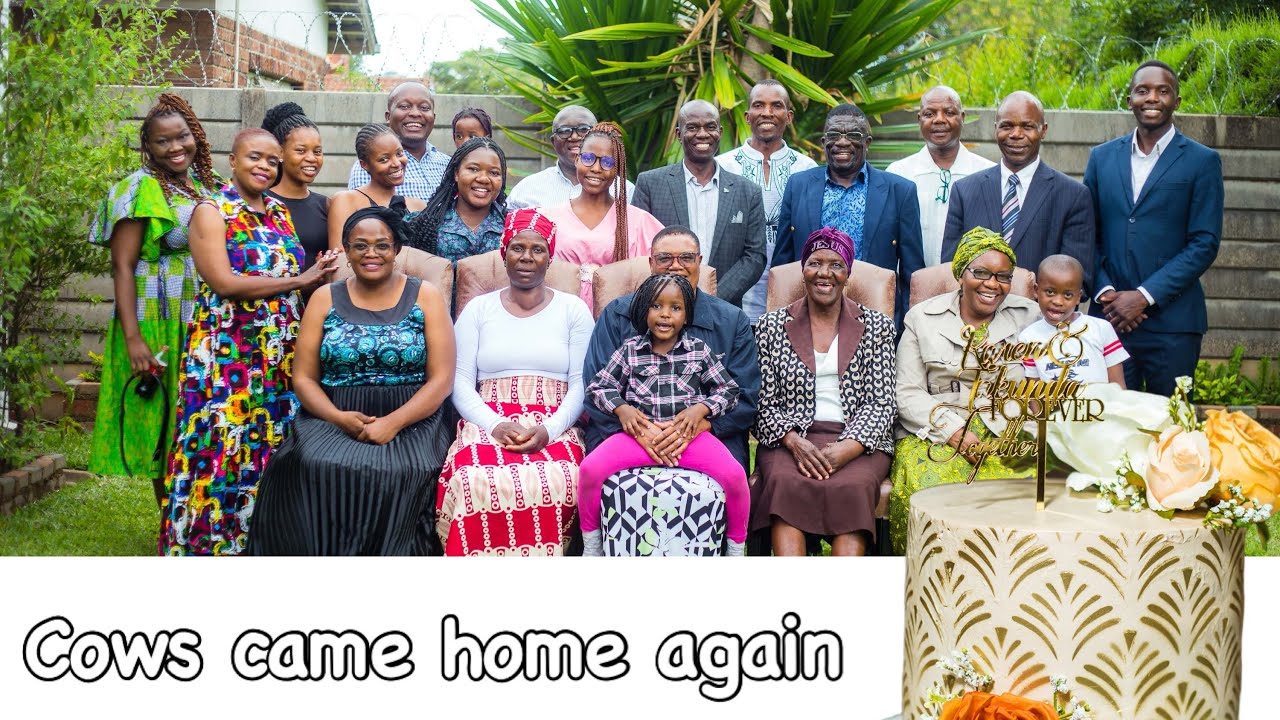 Husband finished off roora/Cows came home again❤️🐄💵