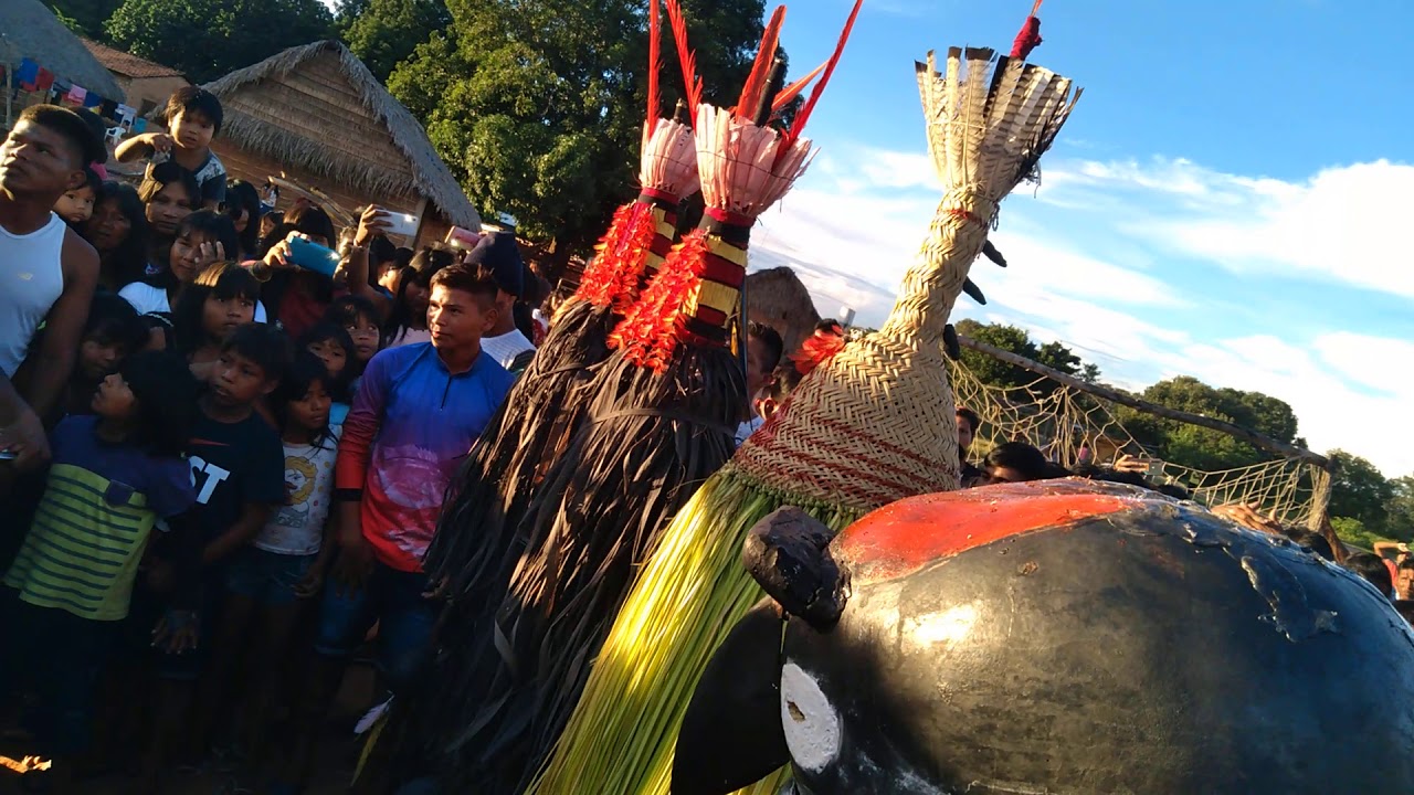 Aruanã novo em aldeia Fontoura