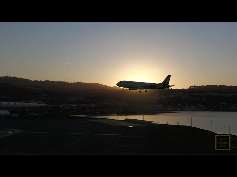 Wellington Airport live stream with Kev