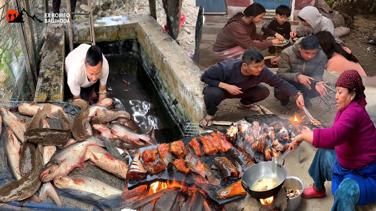 Fishing at Home Ponds Cat Fish and Pangasius Cooking and Eating Making Stone Sekwa in open fire