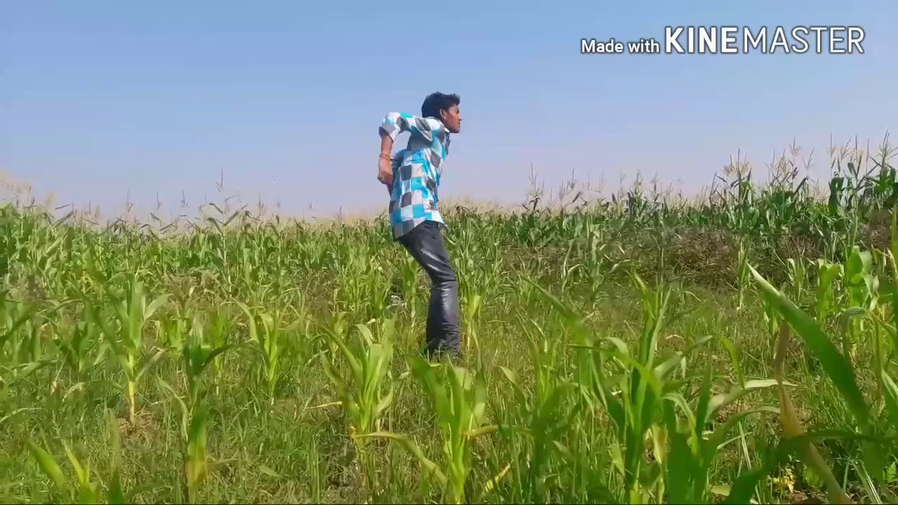 Gunde chappudu agipotunde song