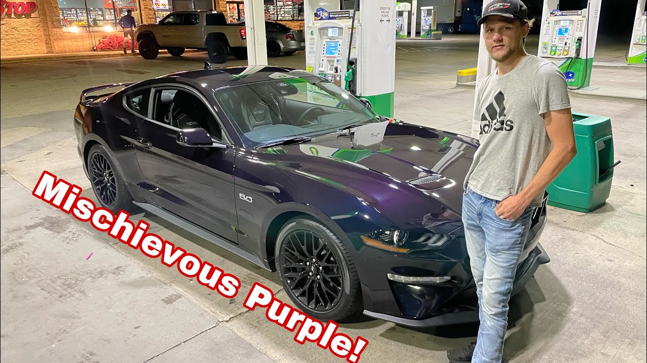 Taking delivery of a 2022 MISCHIEVOUS PURPLE Mustang GT - YouTube