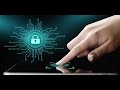 Pasos para la implementacion de la ley de protección de datos - GDPR
