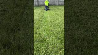 Thick Grass v Toro TimeMaster #youtubeshorts #satisfyingvideo