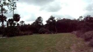 20100202_60.AVI