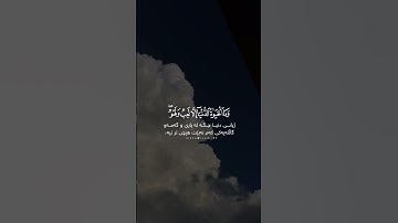 تلاوات خاشعة |رعد الكردي| طمأنينة لقلبك #أنشر_تؤجر #اكسبلور