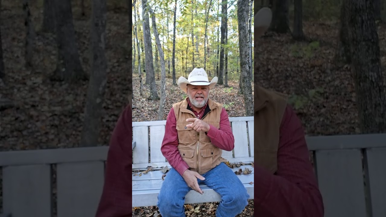 Beautiful Sunday Morning 