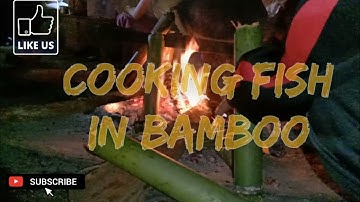 Cooking Fish In Apatani Bamboo(Suddu) || Local Style || Ziro ||Arunachal Northeast || India