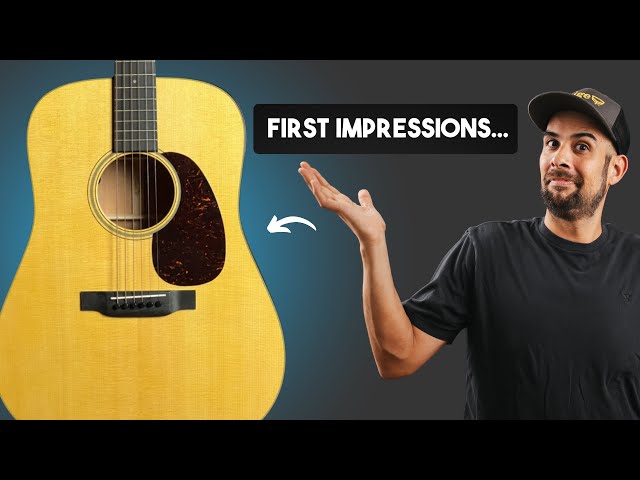 マーチンD1 LRバックスのピックアップ付き