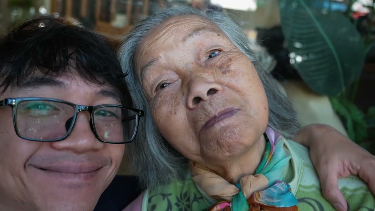 25 TẾT BÍNH NGỌ   2026