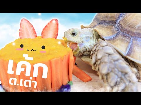 วีดีโอ: วิธีทำเค้กเต่า
