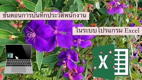 ขั้นตอนการบันทึกประวัติพนักงานในระบบโปรแกรม Excel  - | Mint Nittaya |