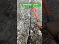 removing old damaged screed from roof surface #wallskolkata #fourwalls #chipping #roofwaterproofing