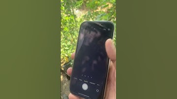 How to Turn Off Burst Mode on Any iPhone/iOS #iphone #shorts