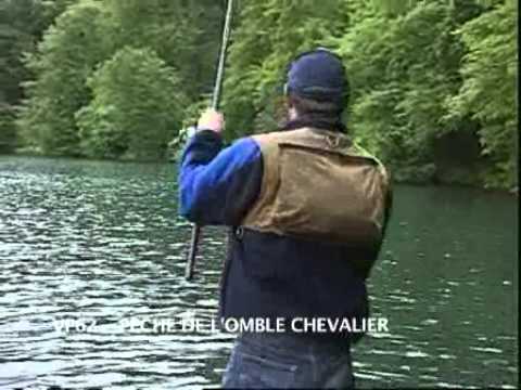 Vidéo: Omble chevalier : photo du poisson, description, culture, capture