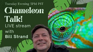 Chameleon Chat