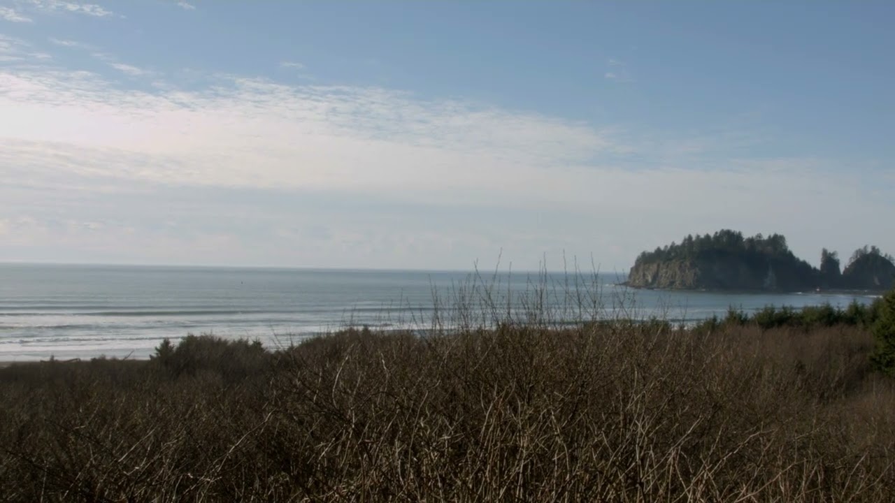 Stock Footage 02 Beach Island Panning