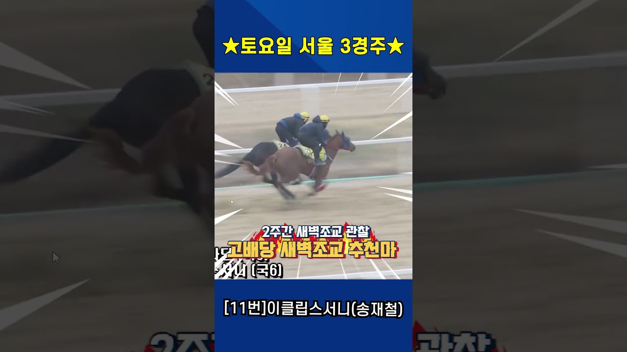 4월11일 토요일 서울 3경주!! 2주간 훈련보인 강백호의 새벽조교 쏘스마!!