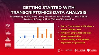 Bulk Rnaseq Analysis Processing Fastq Files Using Trimmomatic Bowtie2t Rsem output Overview