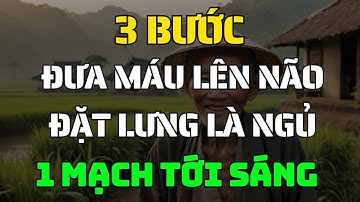 3 Bước Cực Đơn Giản Giúp Đưa Máu Lên Não, Đặt Lưng Là Ngủ Tới Sáng, Không Cần Thuốc, Không Tốn Tiền!