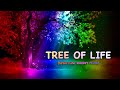 432hz  tree of life  spiritual energy flow  peaceful dhyanam