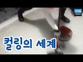 컬링의 세계 YTN 사이언스 컬링의 세계 YTN 사이언스