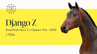 Django Z - Stallion Presentation 2024