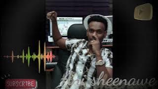 Hamza Ibr - Ani Sheenawe - new oromo music 2022