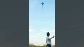 "🌟 Discover the amazing world of kites! 🪁🎉