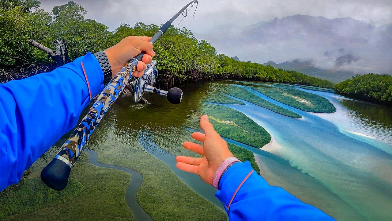 Fishing Hinchinbrook mangroves Barramundi and Mangrove Jack! YouTube