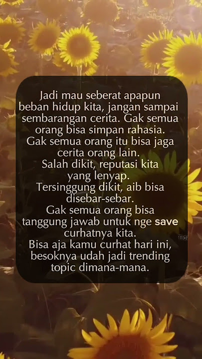 Kata-kata Motivasi Bijak | Update Status | Story Wa #katakatabijak #quotes