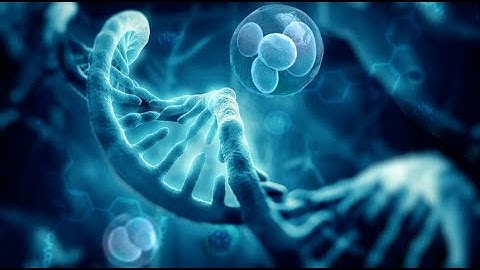 Lecture-15 Introduction to Nucleic acids