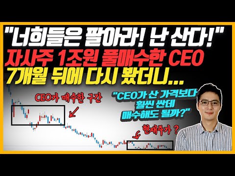   CEO 매수가 보다 훨씬 싼데 지금 사도 될까 자사주 1조원 풀매수한 CEO 7개월 뒤에 다시 봤더니