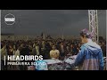 Capture de la vidéo Headbirds Boiler Room X Adidas Originals Live Show At Primavera Sound