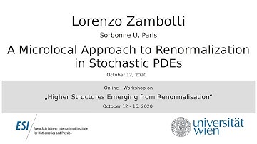 Lorenzo Zambotti - A Microlocal Approach to Renormalization in Stochastic PDEs